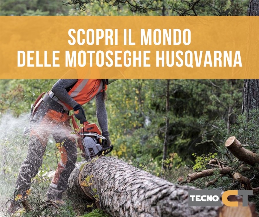 articolo