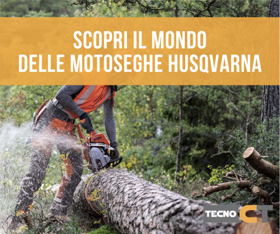 articolo